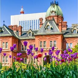 1576562726893-ca0d9ea00fed9630b77c644468aca4b8